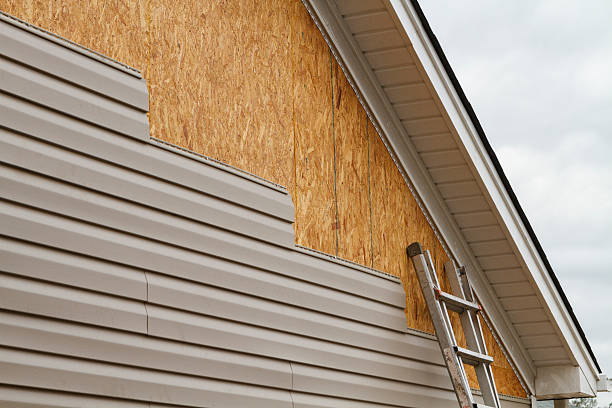 Professional Siding Repair technician working in Burke, VA